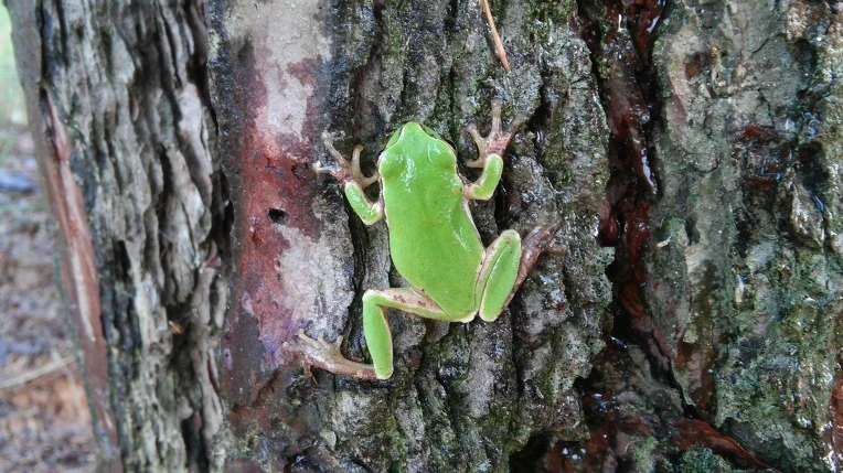 2579163F57BB9791307950