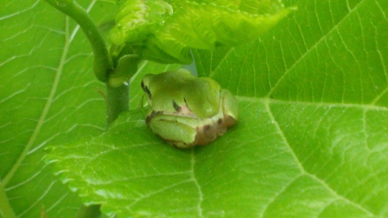 26612A4756B026DF034B80