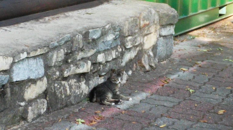 274DF13455FB6DE632DF4B