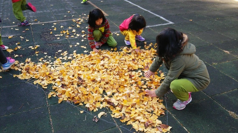 22423A3A5631ACDD0DDD02