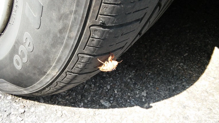 261F174555BD54012586B8