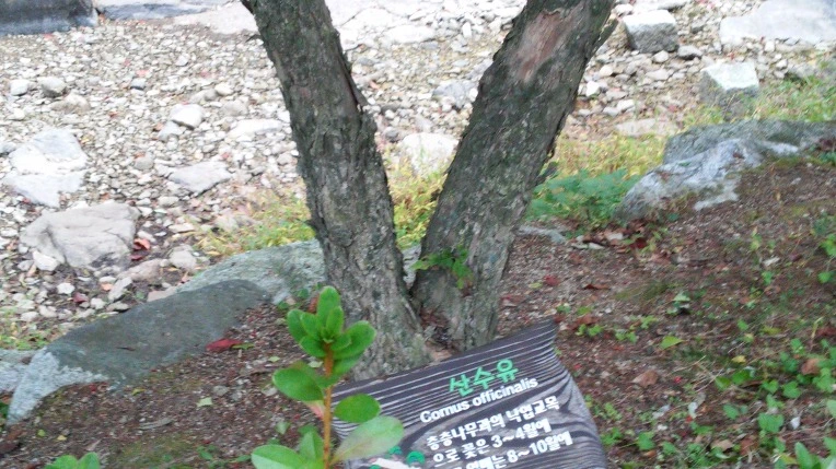 27041B385619798C178EFA