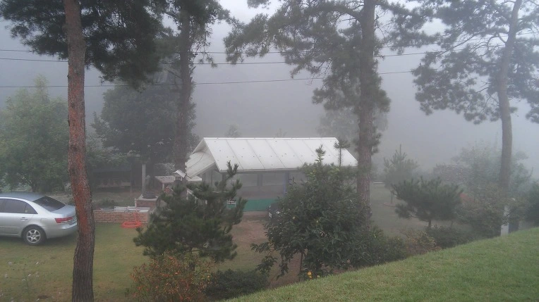 243AE448560891820746A1