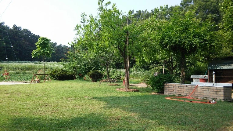 2334893B576496DF1CB8C2