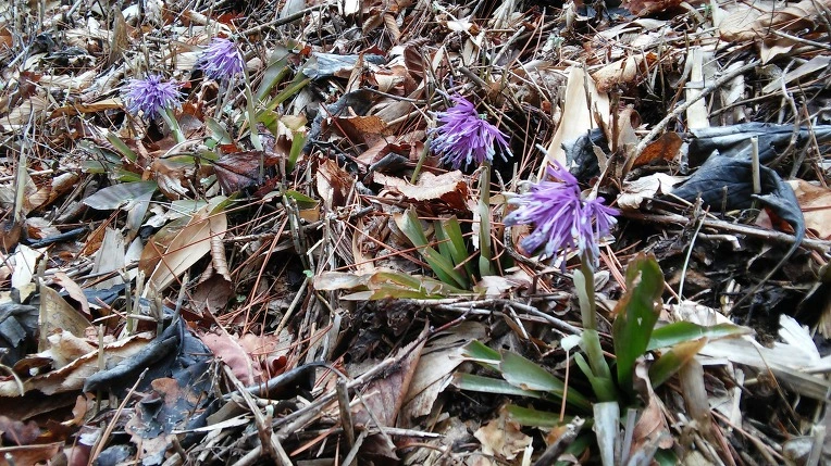 27649F3B58E5DE553060D0