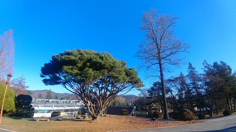 99776D3E5C275B0F2AE312