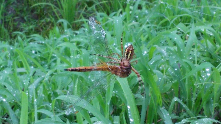 21353749577B3972314D92