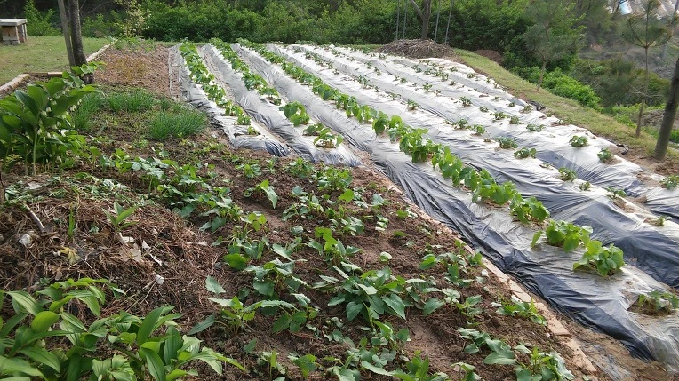 22208B38571DF44C01C9BB