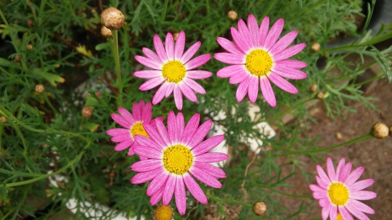 2759FD4B57246940140A89