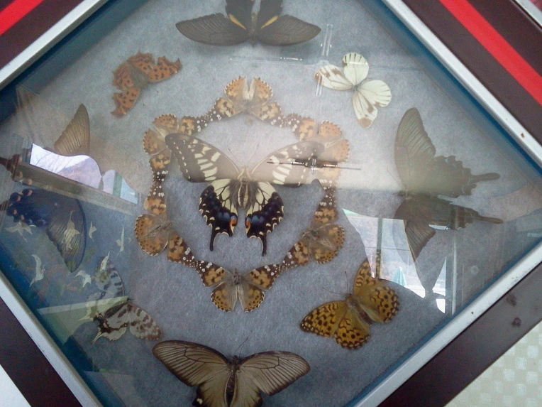 141A723B5121E5F418D81C