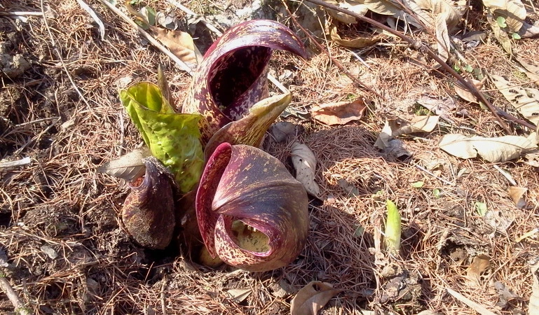 1357DA474D85DD5903A0F3