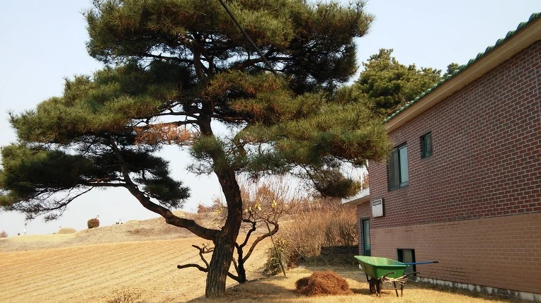 215EF04758BBE7C82CDBDD