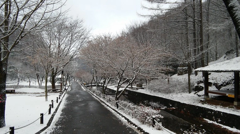 223734395656A5271B7A9B