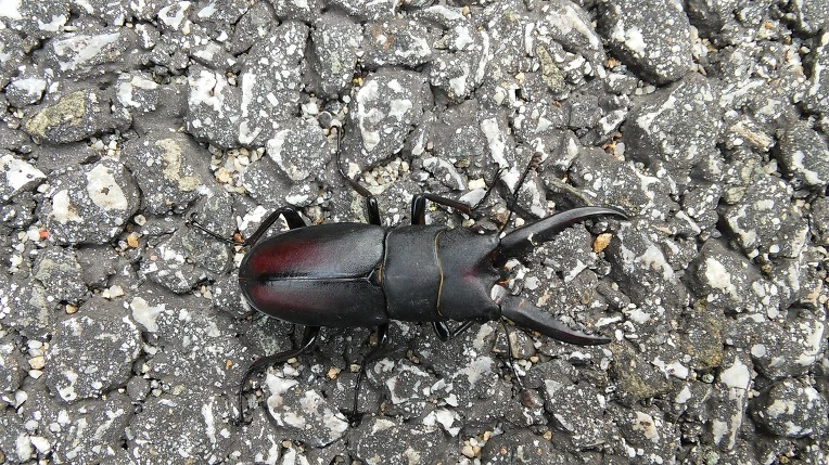 9932D5335984F8391A262D