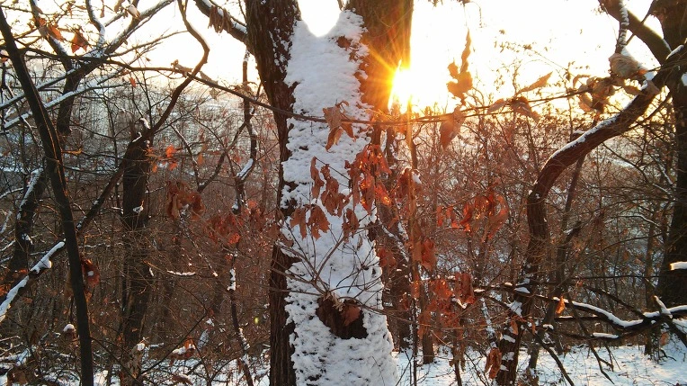 25685D3D5696EF291A1559