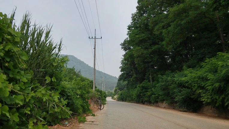 261077395767509524CD36