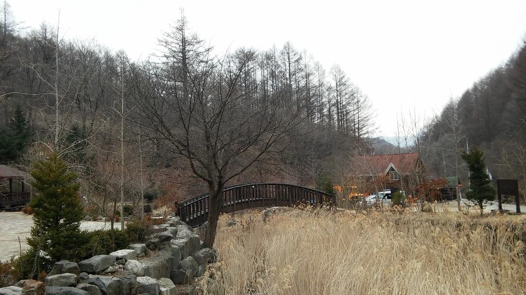 235DED3556E653C60DC1B7