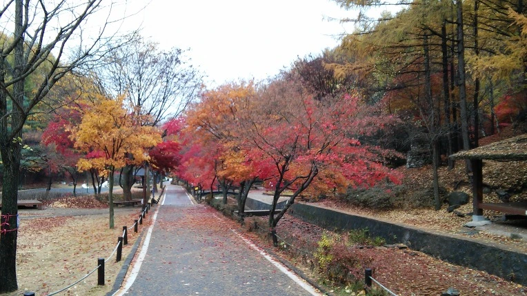 24749937563D848217A835