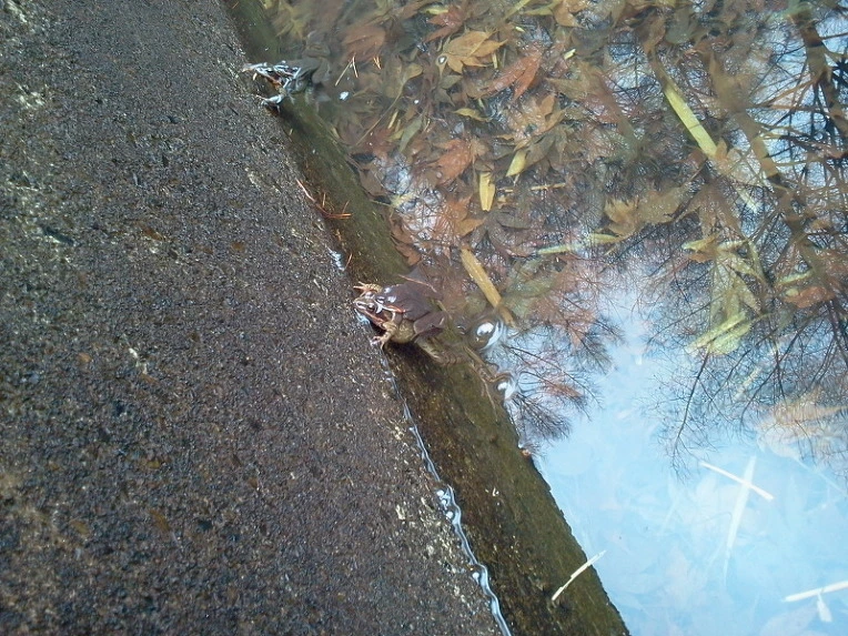 273D4F4A5875B7BD31E205