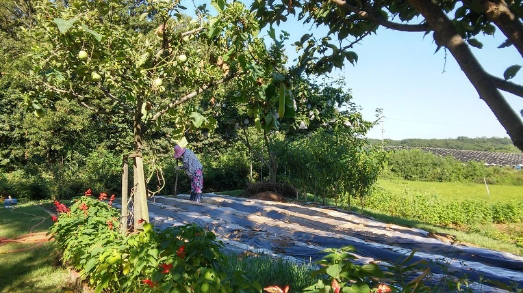 2544154357C1772D358121