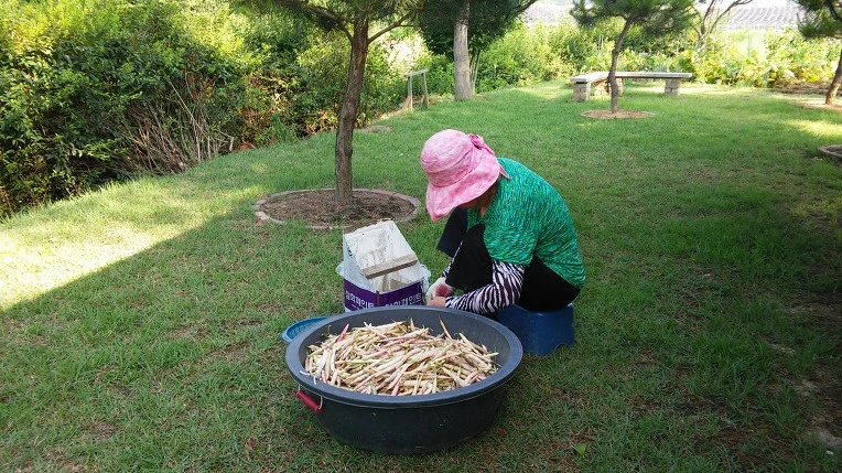 255F3647576F81012577FE