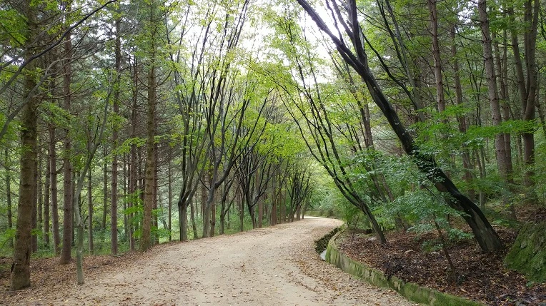 99E2ED4F5D9ACD723F1E85