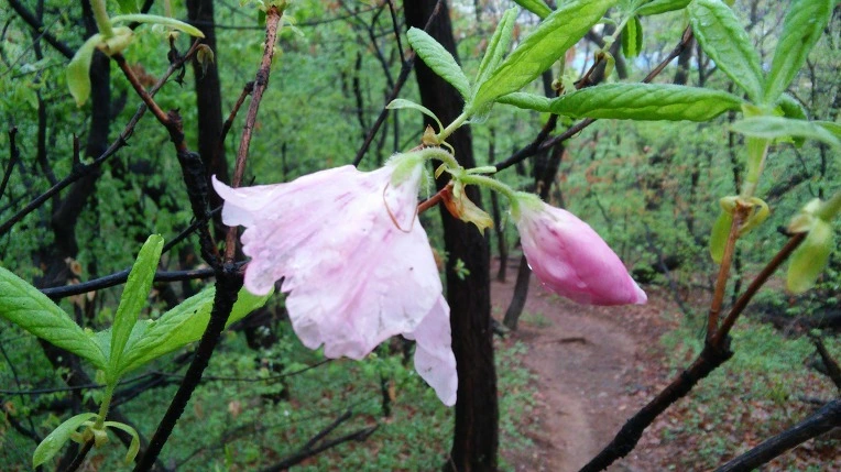 221AF64A5712CDAC3BB048