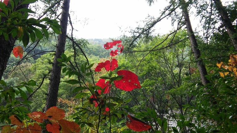 2732C8355615C3250DCFB4