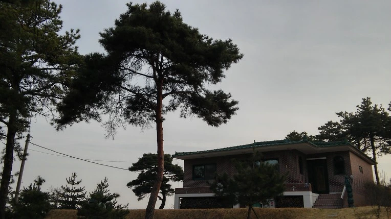 261A3C4056FC8BEE047D60