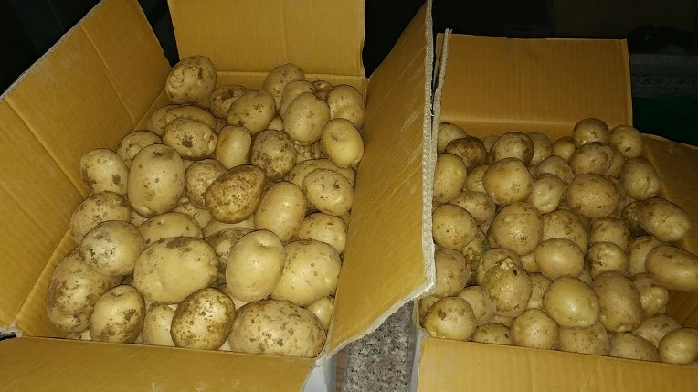 99CB14445B3D58651BFAC9