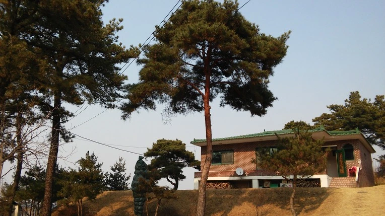 2229E34858BBE7D9295615