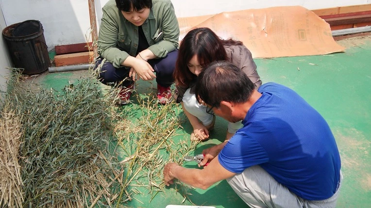 22365F505724807A217563