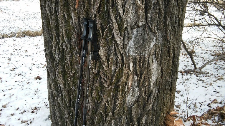 276CD8495878B24405CC8B