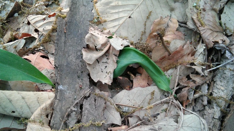 2217B04C5726977F0F0A40