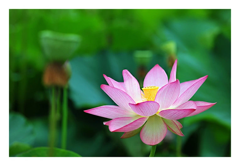 2248F14E55B41F682C4DEA