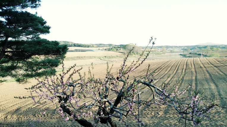 99F7D2345EA24534333FED