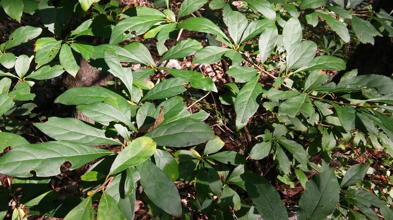 2221463D560FBC0B23B369