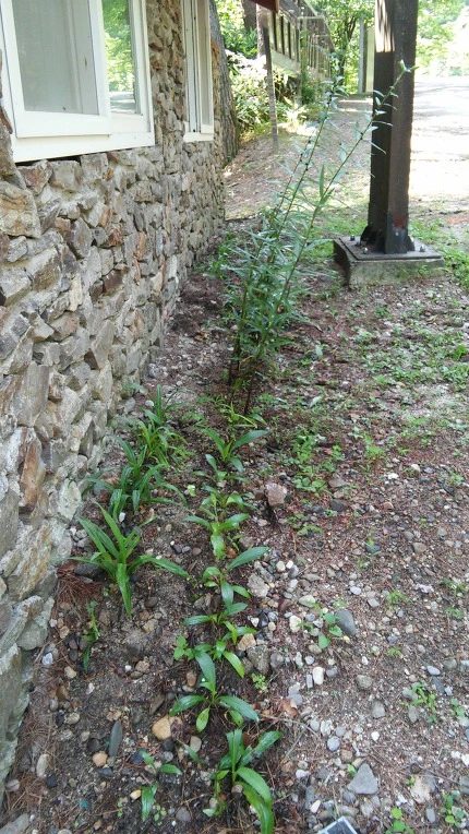 21F21A335973DA2E21E40B