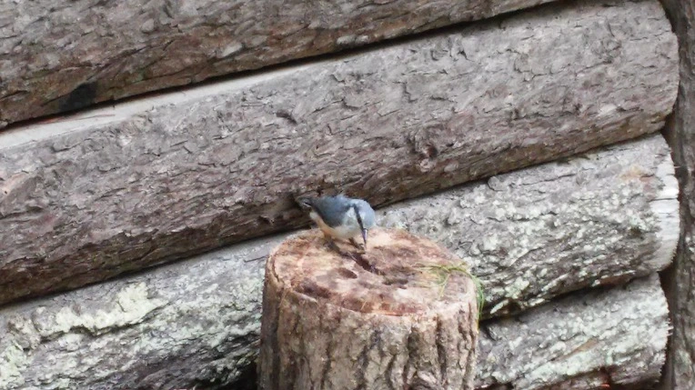 998950335984F8791414D8