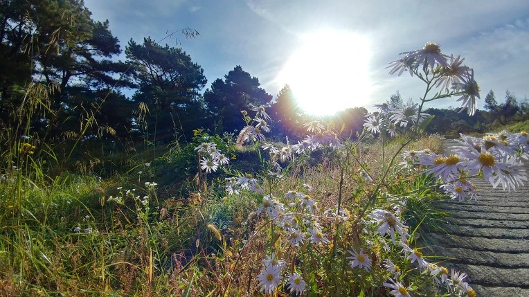 993FB1405BBAFC9017467A