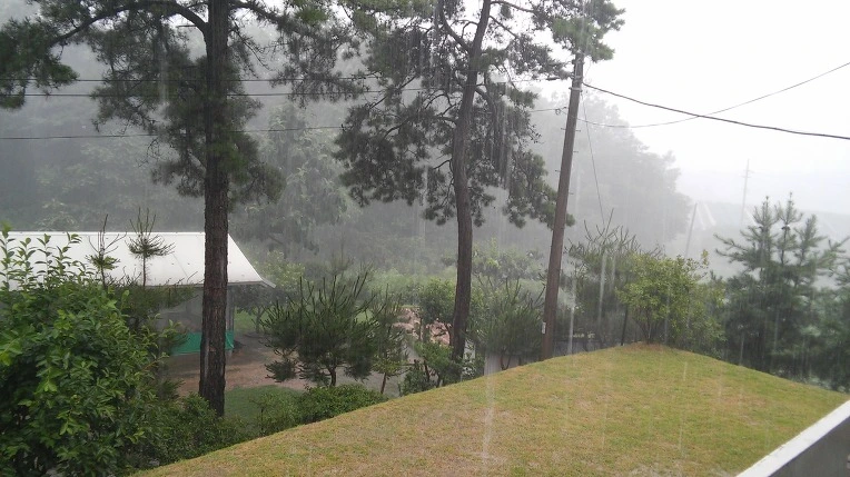 2524674E577DE459301F82