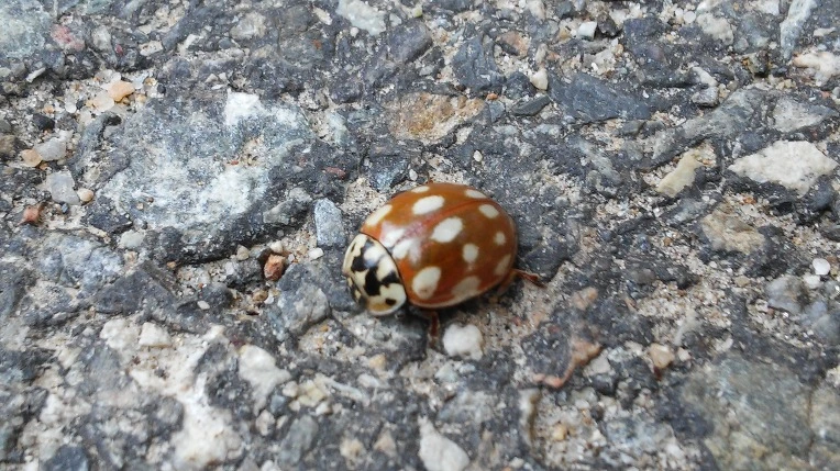 2745C53456F3902410AB54