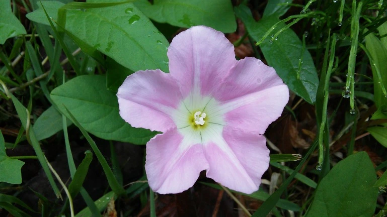 261FE93E564EB24E30CFDD