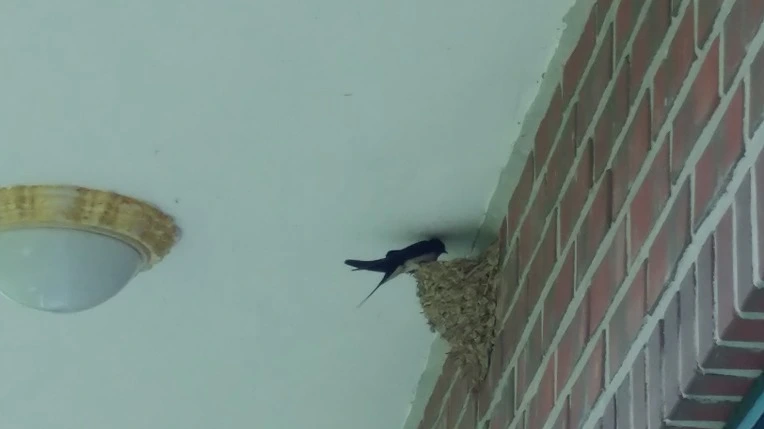 99868F465D467B2D3228D7