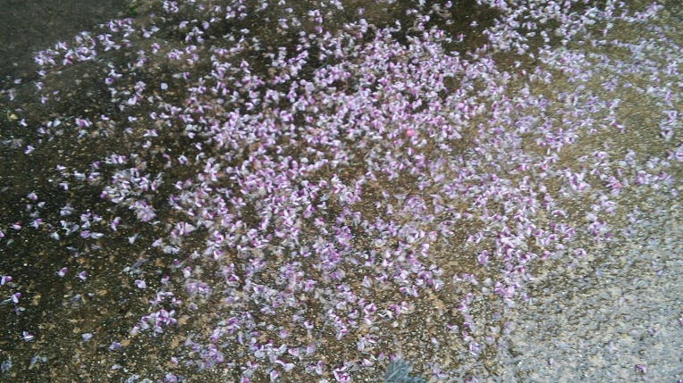 999CEA33598F7C7C1CF1F2