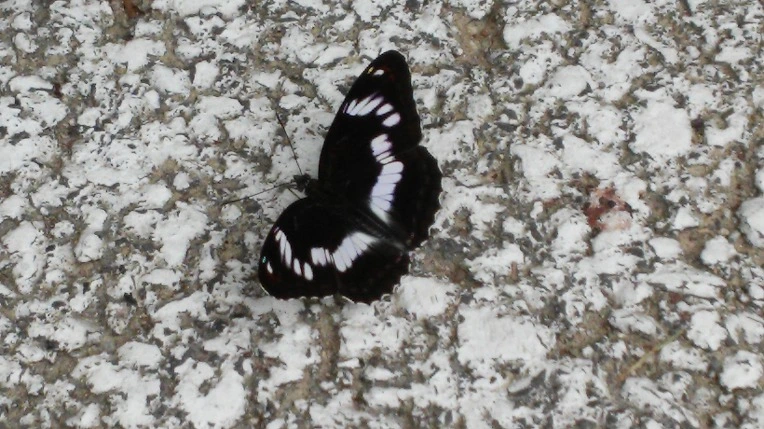 2139BF415699F746217575