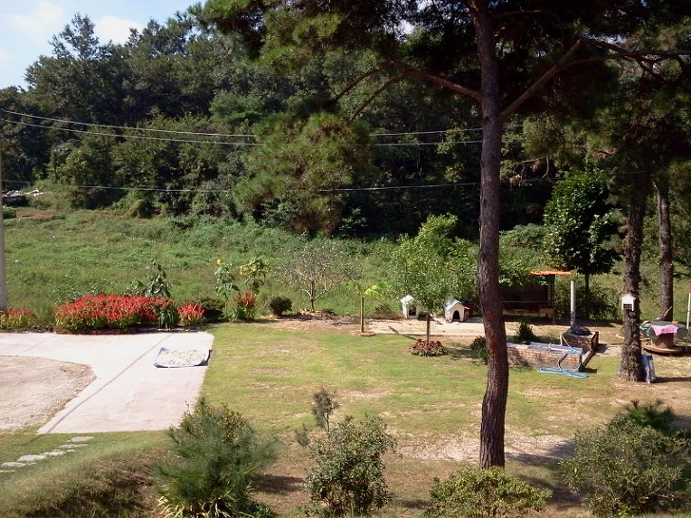 196E66374E66D8C115BE38