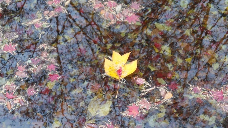 2204973E569F2AE41C5A12