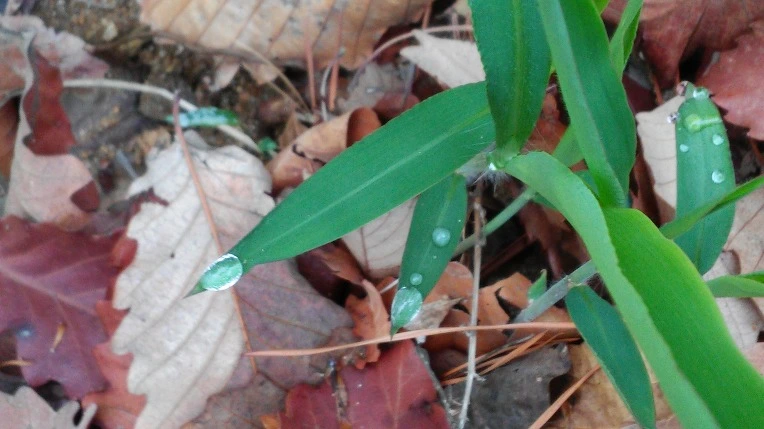 263B5E4A571AD0000FFB6A