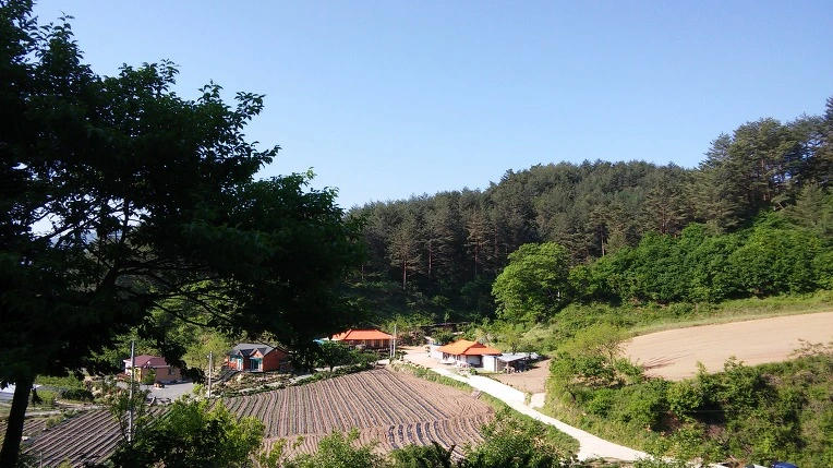 2262CC3C59290FD40B247C